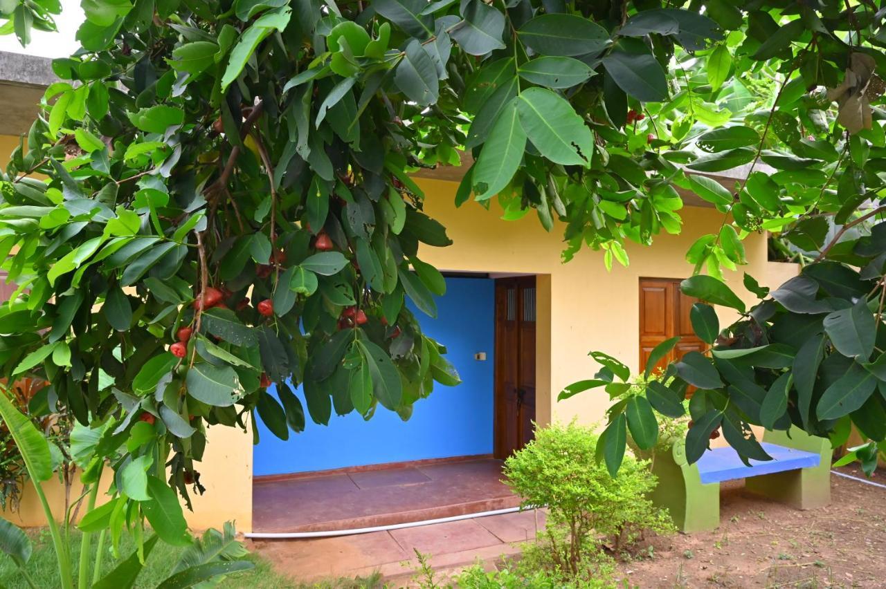 Les Boganveillea Heritage Guest House Auroville Exteriör bild